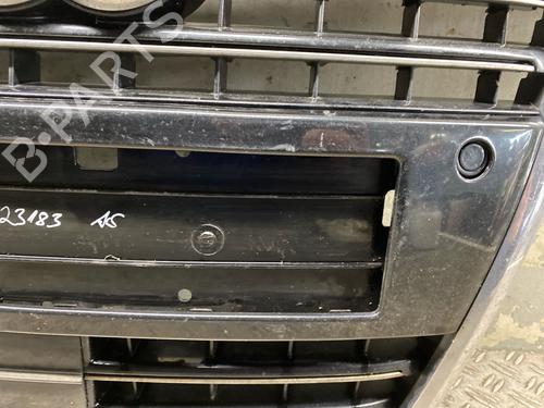 Rejilla AUDI A8 D3 (4E2, 4E8) 4.2 TDI quattro | BP29936968C40