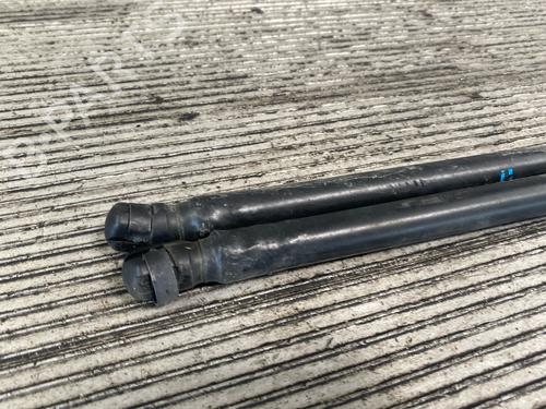 Tailgate lift support CITROËN C4 Picasso I MPV (UD_) 1.6 HDi | BP18747545C138 