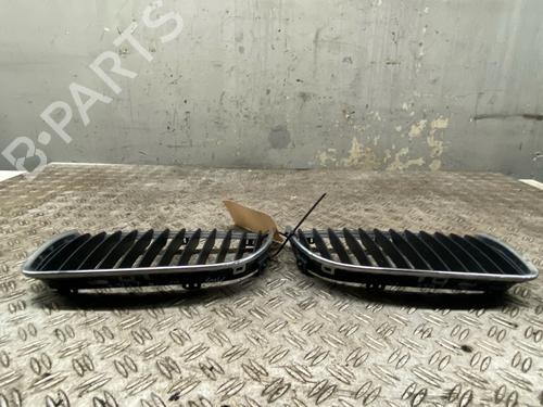 Grille BMW 3 Touring (E91) 318 i | BP29613070C40 