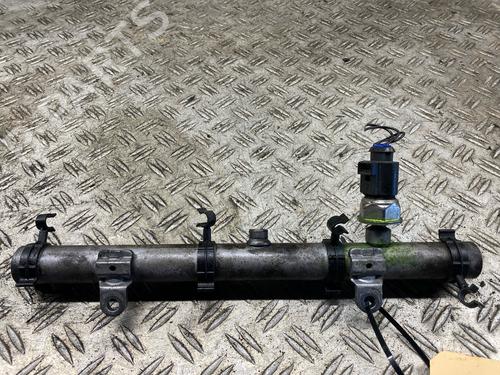 Injection rail AUDI A8 D3 (4E2, 4E8) 4.2 TDI quattro | BP30129071M98 