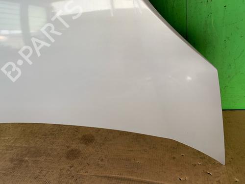 Hood FIAT FIORINO Box Body/MPV (225_) 1.4 (225BXA1A, 225BXF1A) | BP24935931C1