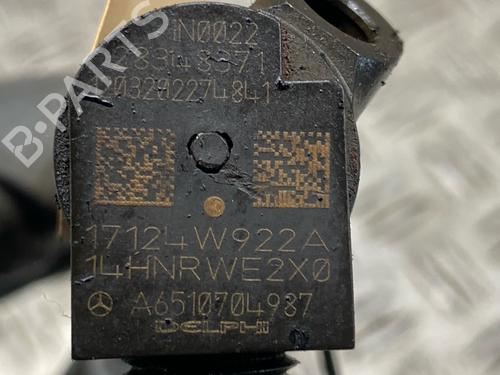 Injector MERCEDES-BENZ C-CLASS T-Model (S204) C 220 CDI (204.202) | BP30470870M100