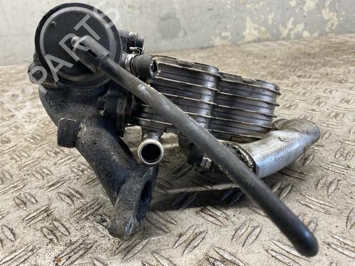 Egr AUDI A8 D3 (4E2, 4E8) 4.2 TDI quattro | BP30129067M69 