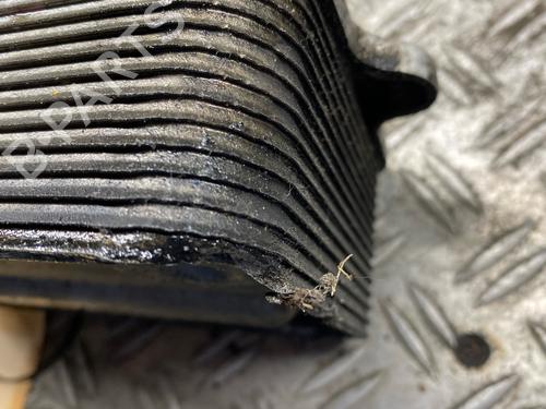 Oil radiator AUDI A8 D3 (4E2, 4E8) 4.2 TDI quattro | BP30129080M33 