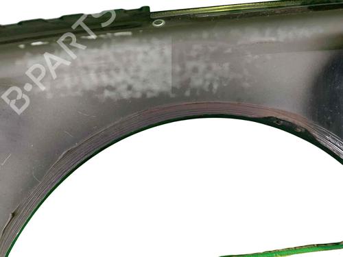 Błotnik przedni prawy AUDI A8 D3 (4E2, 4E8) 4.2 TDI quattro | BP29936959C42