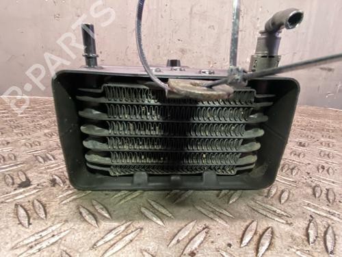 Used Water radiator FIAT SCUDO Van (270_, 272_) 2.0 D Multijet (120 hp) 29590450