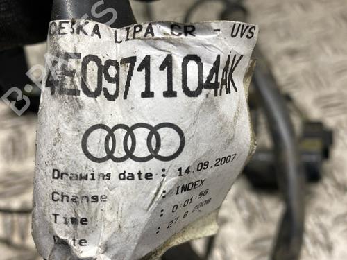 Capteur électronique AUDI A8 D3 (4E2, 4E8) 4.2 TDI quattro | BP29978666M84