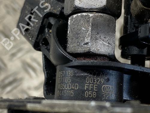 Injector AUDI A8 D3 (4E2, 4E8) 4.2 TDI quattro | BP30129072M100 