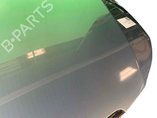Hood BMW 3 Touring (E91) 318 i | BP29613055C1 