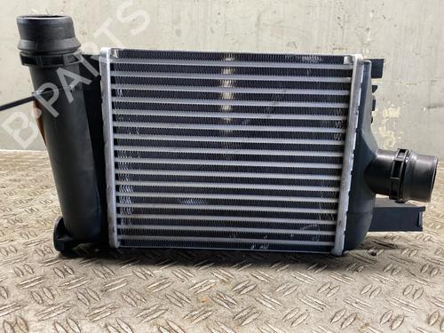Intercooler DACIA DOKKER MPV (KE_) 1.2 TCe (KEM0, KEAY) | BP29809253M30 