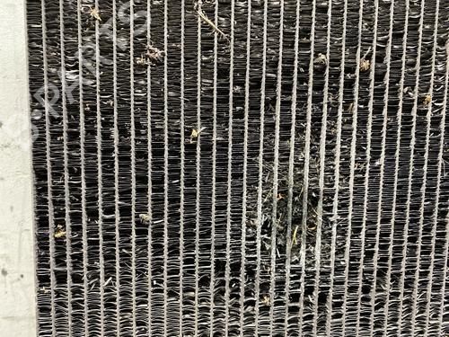 Water radiator FIAT SCUDO Van (270_, 272_) 2.0 D Multijet | BP29590443M31