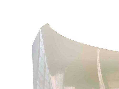 Hood VW PASSAT B6 Variant (3C5) 2.0 TDI | BP31770087C1 