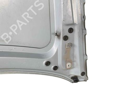 Hood BMW 3 Touring (E91) 318 i | BP29613055C1 