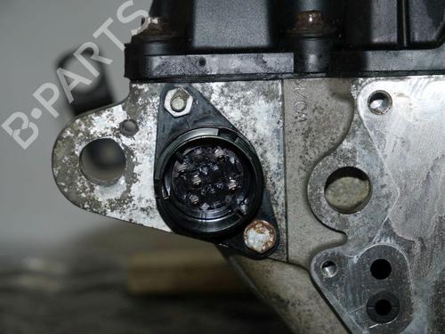 Zylinderkopf VW TRANSPORTER T5 Van (7HA, 7HH, 7EA, 7EH) 1.9 TDI | BP30598552M5