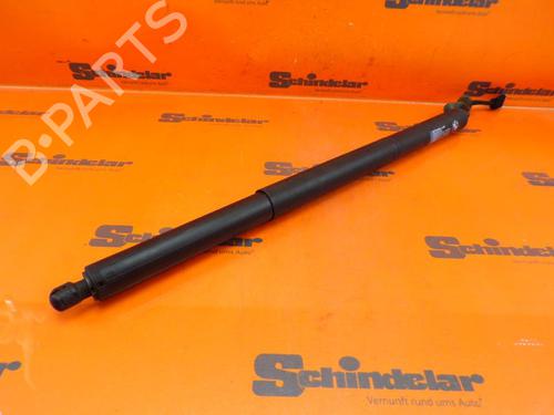 Tailgate lift support BMW 2 Gran Tourer (F46) 220 i | BP24411247C138 
