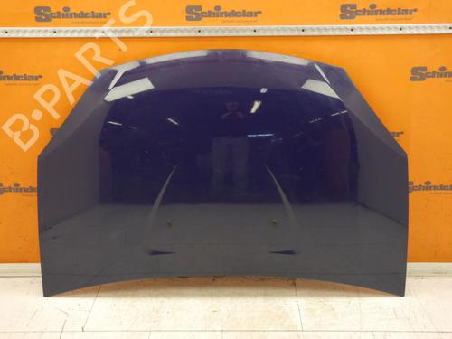 Capot DACIA SANDERO 1.4 (BS0C, BS0A, BS0G, BS1F, BS0E) (75 hp) 32646605