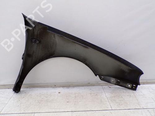 Left front fenders VW GOLF IV (1J1) 1.4 16V | BP29380695C41 