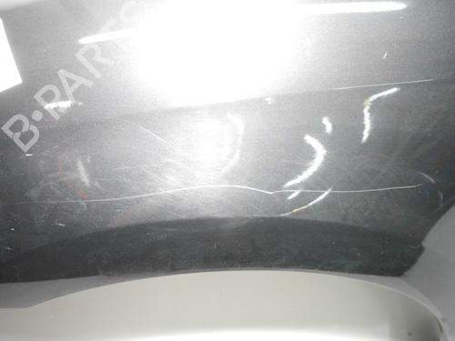 Left front fenders CITROËN C4 Coupe (LA_) 2.0 HDi | BP30669440C41