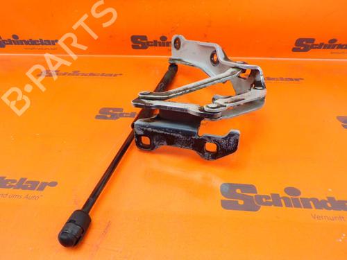 Hinge/Door check strap JAGUAR XJ (X350, X358) 4.2 | BP24391938C146 
