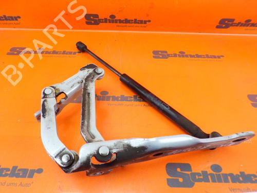 Hinge/Door check strap JAGUAR XJ (X350, X358) 4.2 | BP24391938C146 