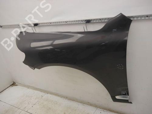 Guarda-lamas esquerdo VW TOUAREG (7LA, 7L6, 7L7) 3.0 V6 TDI | BP30797449C41