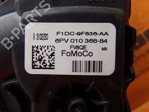 Pedal FORD TRANSIT CONNECT V408 Box Body/MPV 1.5 EcoBlue | BP32662900I4