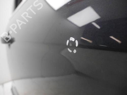 Right front door FORD S-MAX (WA6) 2.0 EcoBoost | BP32400289C3 