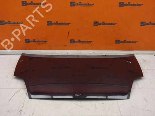 Hood FIAT PUNTO EVO (199_) 1.2 | BP29494945C1 