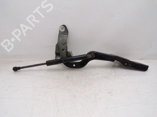Used Hinge/Door check strap RENAULT GRAND SCÉNIC III (JZ0/1_) 1.5 dCi (JZ09, JZ0D, JZ10, JZ14, JZ1G, JZ29, JZ2C) (110 hp) 29515081