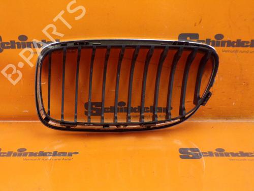 Grille BMW 3 Touring (E91) 318 d | BP24413398C40 