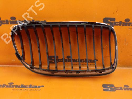 Grille BMW 3 Touring (E91) 318 d | BP24413399C40 