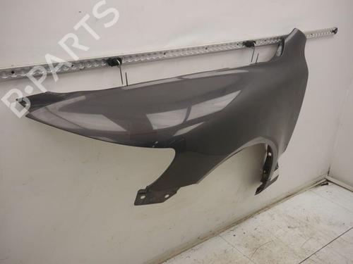 Guarda-lamas esquerdo VW TOUAREG (7LA, 7L6, 7L7) 3.0 V6 TDI | BP30797449C41