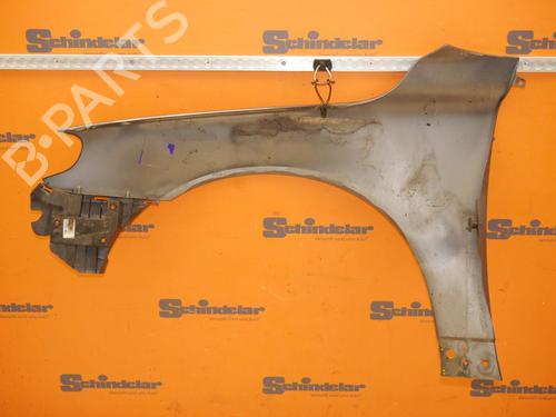 Right front fenders VOLVO V70 III (135) D5 AWD | BP24392926C42 