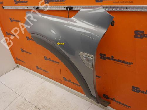 Left front fenders CHEVROLET CAPTIVA (C100, C140) 2.4 LPG | BP25016900C41 