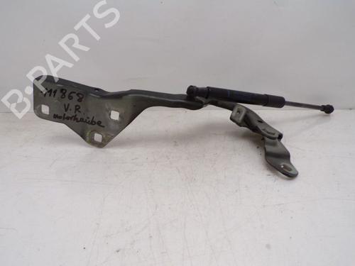 Hinge/Door check strap RENAULT GRAND SCÉNIC III (JZ0/1_) 1.5 dCi (JZ09, JZ0D, JZ10, JZ14, JZ1G, JZ29, JZ2C) | BP29515081C146 