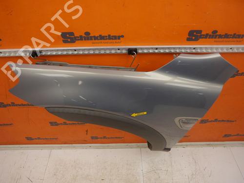Left front fenders CHEVROLET CAPTIVA (C100, C140) 2.4 LPG | BP25016900C41 
