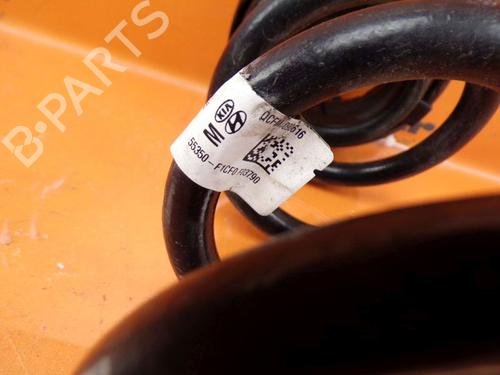Shock absorber spring KIA SPORTAGE IV (QL, QLE) 1.6 T-GDI AWD | BP24389398C152 