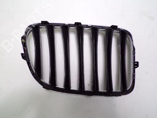Grill BMW X1 (E84) sDrive 16 d | BP33145353C40 - Image 3