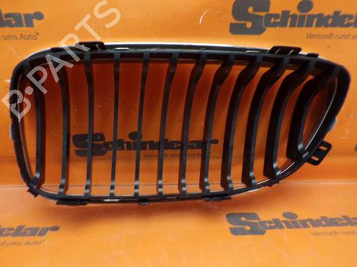 Grille BMW 3 (E90) 325 i | BP24413951C40 