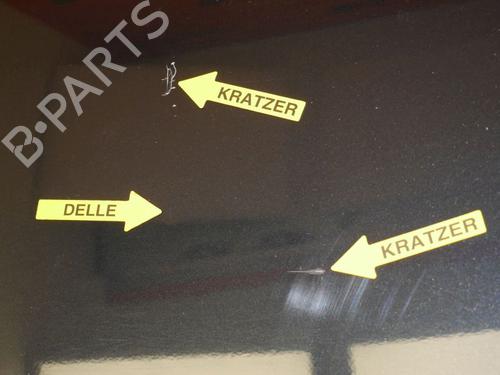 Right front door MINI MINI (R56) Cooper | BP24392791C3 