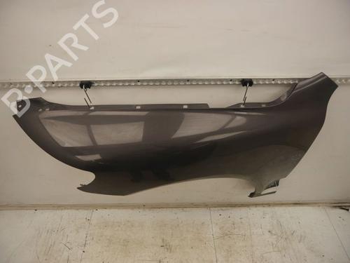 Guarda-lamas esquerdo VW TOUAREG (7LA, 7L6, 7L7) 3.0 V6 TDI | BP30797449C41