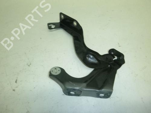 Hinge/Door check strap NISSAN MICRA IV (K13K, K13KK) 1.2 | BP24386721C146