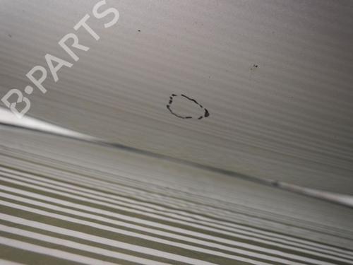 Hood FORD TRANSIT CONNECT (P65_, P70_, P80_) 1.8 Di | BP25705224C1