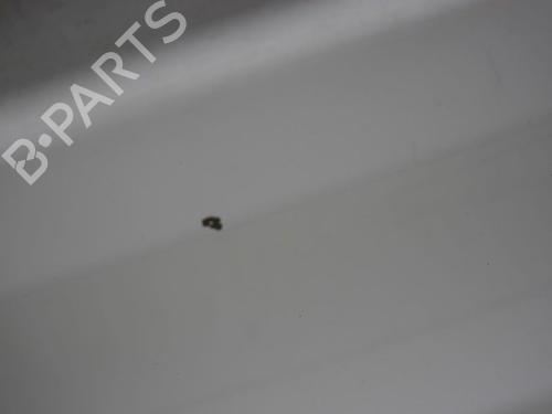 Left tailgate FORD TRANSIT CONNECT (P65_, P70_, P80_) 1.8 Di | BP29873315C76