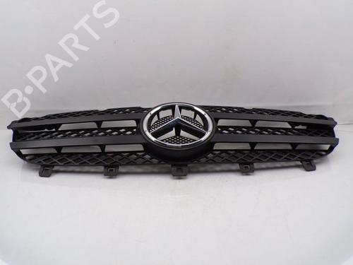 Grille MERCEDES-BENZ SPRINTER 3-t Bus (B906) 213 CDI (906.711, 906.713) | BP29873296C40