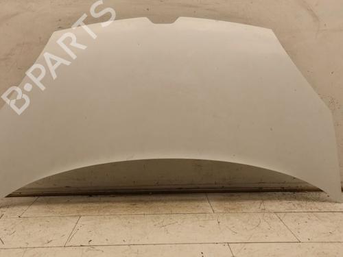 hood-renault-kangoo-express-fw01_-2008-39893698 main image