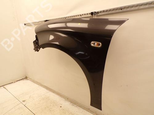 Left front fenders SEAT TOLEDO III (5P2) 1.9 TDI | BP29380680C41 
