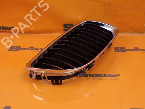 Grille BMW 3 Touring (E91) 318 d | BP24413398C40 
