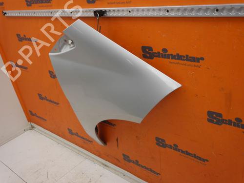 Right front fenders MERCEDES-BENZ A-CLASS (W169) A 160 CDI (169.006, 169.306) | BP24413991C42 