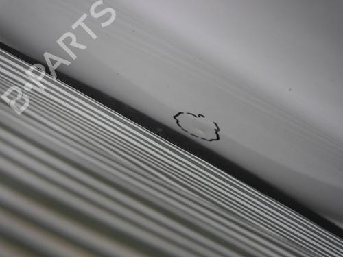 Right tailgate FORD TRANSIT CONNECT (P65_, P70_, P80_) 1.8 Di | BP29873297C77